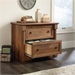 Bowery Hill Engineered Wood 2-Drawer Lateral File Cabinet in Vintage Oak