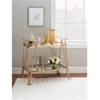 Bowery Hill Mid-Century Mirrored Metal Bar Cart in Gold Finish