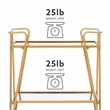 Bowery Hill Mid-Century Mirrored Metal Bar Cart in Gold Finish