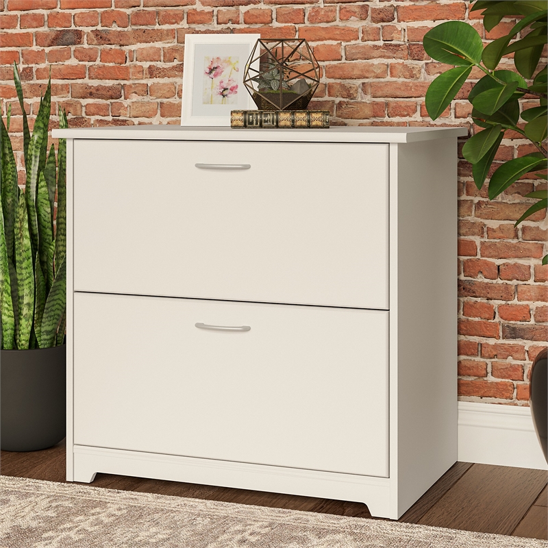 Bowery Hill 2 Drawer Lateral File Cabinet in White - Engineered Wood