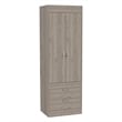 Bowery Hill Engineered Wood 2-Drawers/2-Doors Armoire in Gray