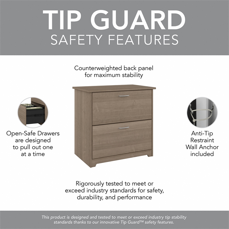 Bowery Hill 2 Drawer Lateral File Cabinet in Ash Gray - Engineered Wood