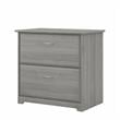 Bowery Hill 2 Drawer Lateral File Cabinet in Modern Gray - Engineered Wood