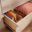 Bowery Hill Engineered Wood Bedroom Dresser in Pacific Maple