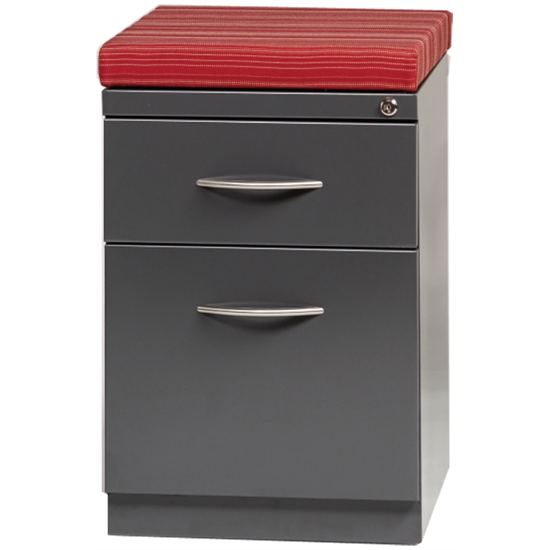 Bowery Hill Mobile Pedestal File 2-Drawer Filing Cabinet Box/File in Charcoal