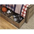 Bowery Hill Contemporary Full Panel Bed with Trundle in Brown