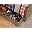 Bowery Hill Contemporary Full Panel Bed with 1-Large Storage Drawer in Brown