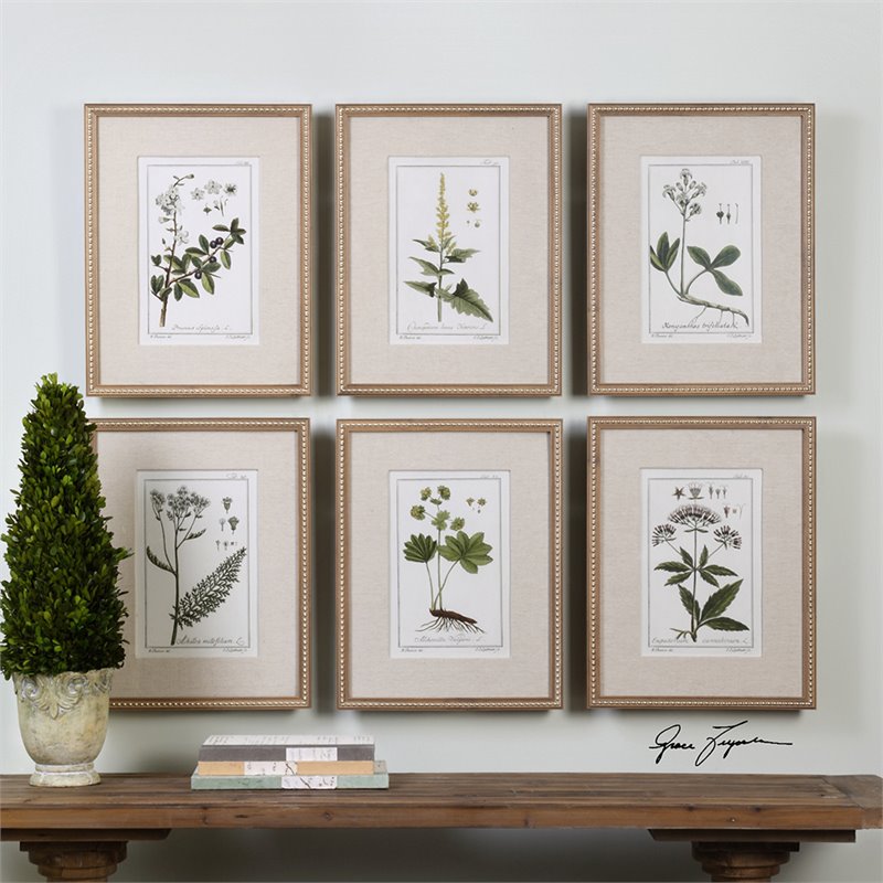 Bowery Hill Set of 6 Green Floral Botanical Study Pine Wood Prints - Multi-Color