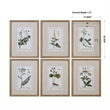 Bowery Hill Set of 6 Green Floral Botanical Study Pine Wood Prints - Multi-Color