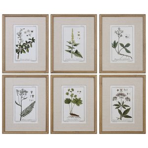 Bowery Hill Set of 6 Green Floral Botanical Study Pine Wood Prints - Multi-Color