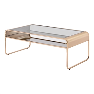 Bowery Hill Modern / Contemporary Glass Top Coffee Table in Gold