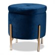 Bowery Hill Navy Blue Velvet and Gold Finished Metal Storage Ottoman