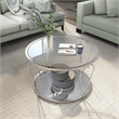 Bowery Hill Contemporary Metal 1-Shelf Coffee Table in Chrome