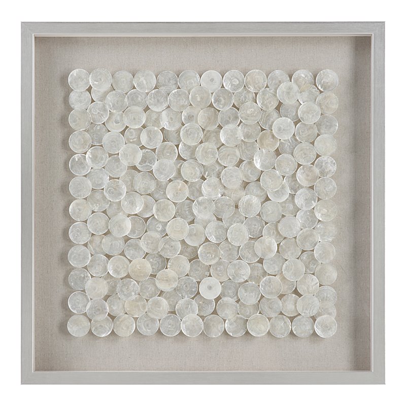 Bowery Hill Capiz Shell Wood and glass Shadow Box in Brushed Silver