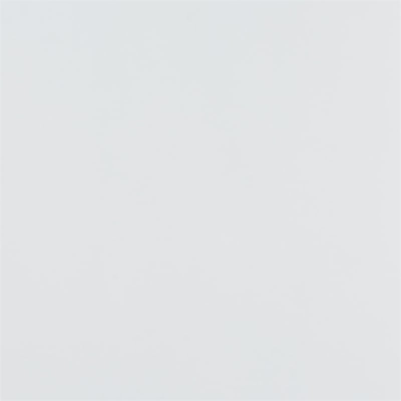 Bowery Hill Traditional White Finished Wood 2-Door Storage Cabinet