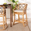 Bowery Hill Modern Bohemian Light Honey and Dark Brown Rattan Bar Stool