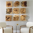 Bowery Hill Contemporary Wood Wall Decor In Natural Set of 9