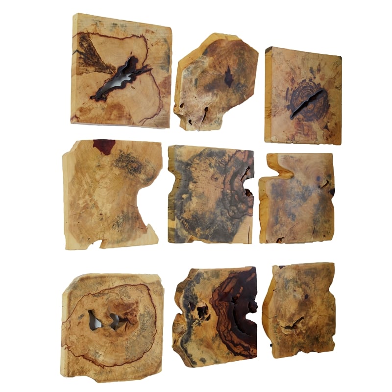 Bowery Hill Contemporary Wood Wall Decor In Natural Set of 9