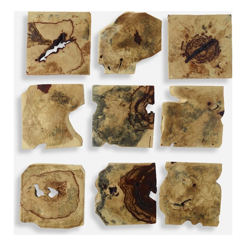 Bowery Hill Contemporary Wood Wall Decor In Natural Set of 9