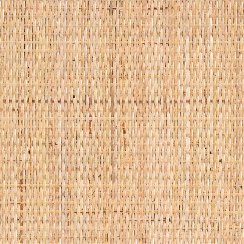 Bowery Hill Modern Bohemian Natural Brown Rattan 2-Drawer Nightstand