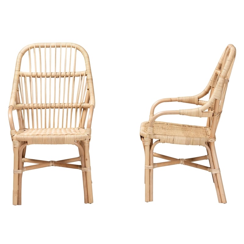 Bowery Hill Modern Bohemian Natural Brown Rattan Dining Chair
