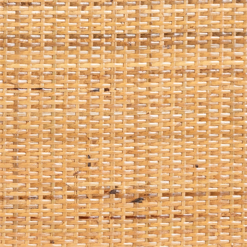 Bowery Hill Modern Bohemian Light Honey Rattan 2-Drawer Bookcase