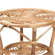 Bowery Hill Modern Bohemian Natural Brown Rattan Coffee Table