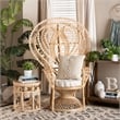 Bowery Hill Modern Bohemian Natural Brown Rattan Peacock Accent Chair
