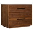 Bowery Hill Modern 2 Drawer Lateral File Cabinet in Medium Wood