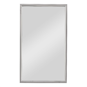 Bowery Hill Contemporary Stainless Steel Mirror in Gray Finish