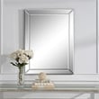 Bowery Hill Contemporary Glass and PS Moulding Mirror in Silver