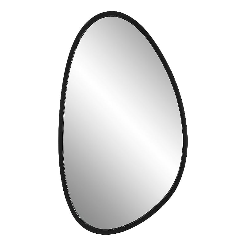 Bowery Hill Contemporary Rubber Plastic and Metal Mirror in Matte Black