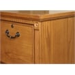 Bowery Hill Transitional 4 Drawer Wood Filing Cabinet in Natural