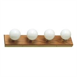 Light Bulbs & Components