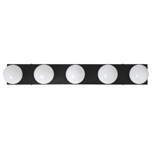 Bowery Hill 5-Light Modern Metal Vanity Light in Matte Black