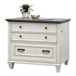 Bowery Hill Set of 3 Writing Office Desk & Bookcase with Doors & File Cabinet