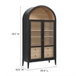 Bowery Hill Contemporary Storage Display Cabinet in Black Oak