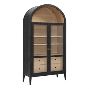 Bowery Hill Contemporary Storage Display Cabinet in Black Oak