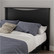Bowery Hill Contemporary Full Queen Panel Headboard in Pure Black