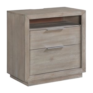 Bowery Hill 2-Drawer Nightstand in Grey with USB Ports and Metal Handles