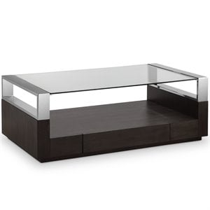 Bowery Hill Contemporary Graphite Glass Top Coffee Table with Storage