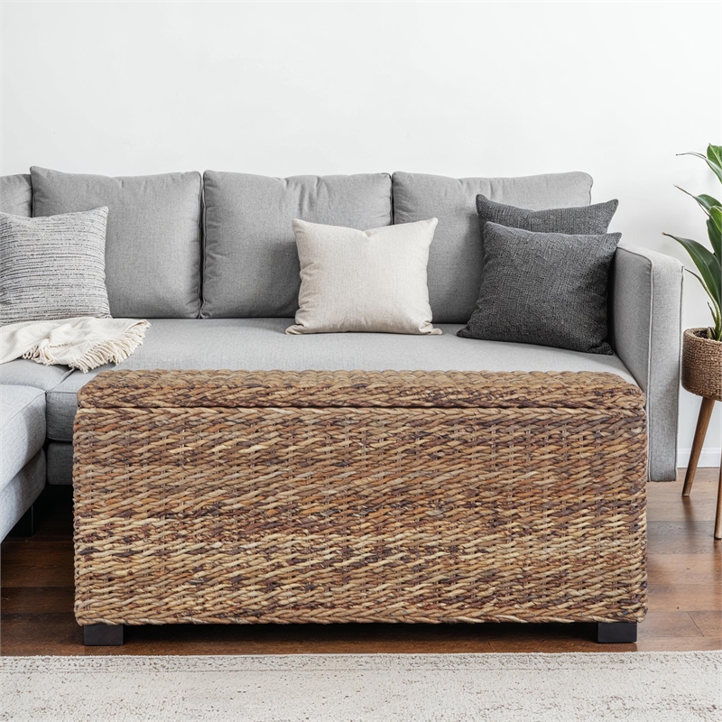 Bowery Hill Contemporary Woven Banana Leaf Storage Trunk in Natural