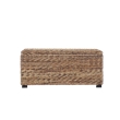 Bowery Hill Contemporary Woven Banana Leaf Storage Trunk in Natural