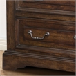Bowery Hill Modern Transitional Rich Tobacco Wood 5-Drawer Chest