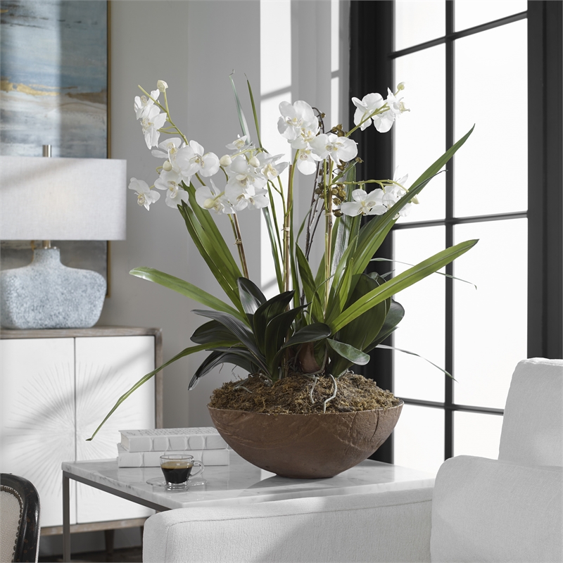 Bowery Hill Moth Orchid Polyester and Plastic Planter in Natural Brown/Green