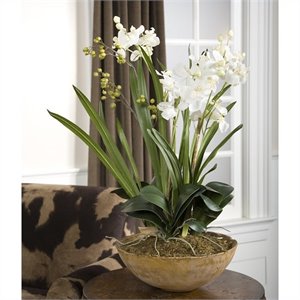 Bowery Hill Moth Orchid Polyester and Plastic Planter in Natural Brown/Green