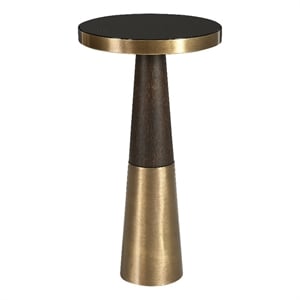 Bowery Hill Contemporary Glass Accent Table in Brass/Brown Finish