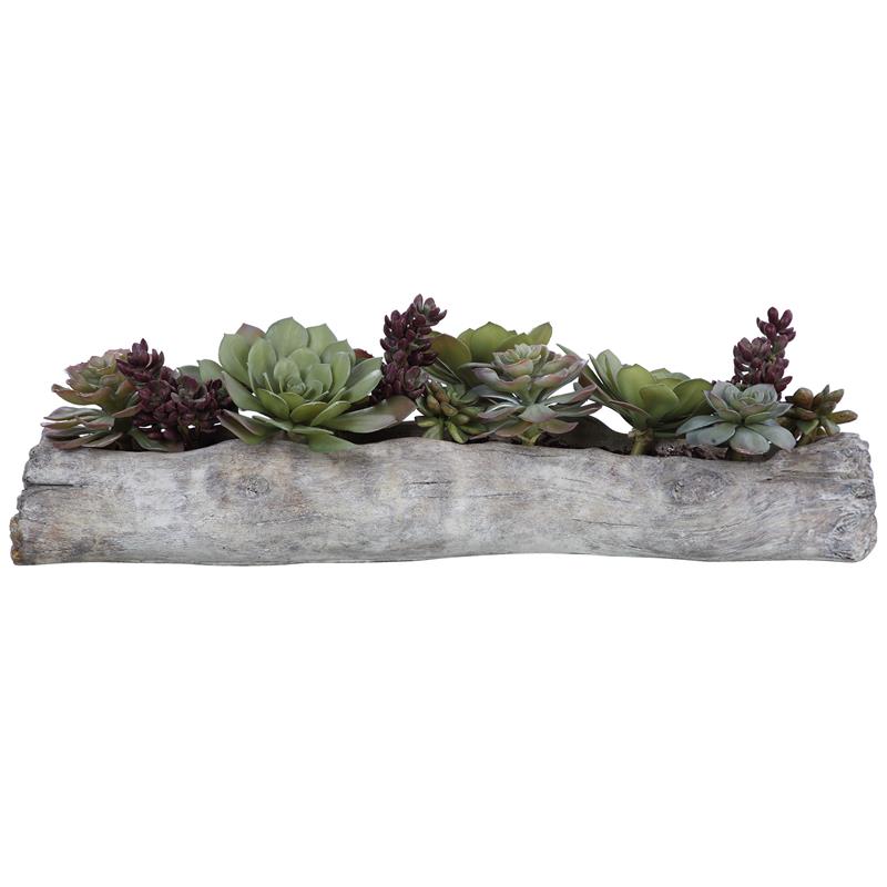 Bowery Hill Contemporary Plastic Iron Cement Succulents in Green