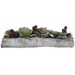 Bowery Hill Contemporary Plastic Iron Cement Succulents in Green