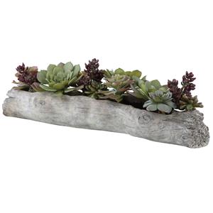 Bowery Hill Contemporary Plastic Iron Cement Succulents in Green